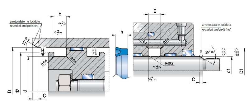 Rod seal RPS 5X12X5 B0